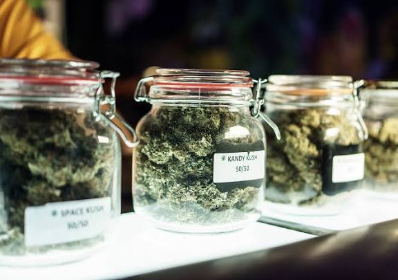 Emerging Trends and Consumer Insights Shaping the Online Cannabis Market in Canada